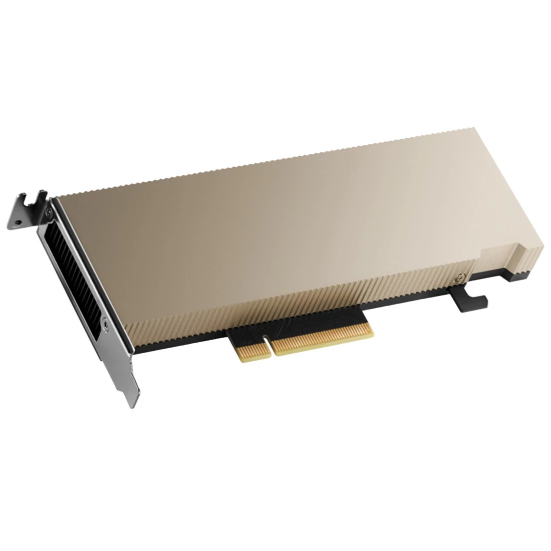 NVIDIA 900-2G179-0020-000 TESLA A2 16GB GDDR6 PCIe 4.0 x8 Fanless low profile Graphics Card New