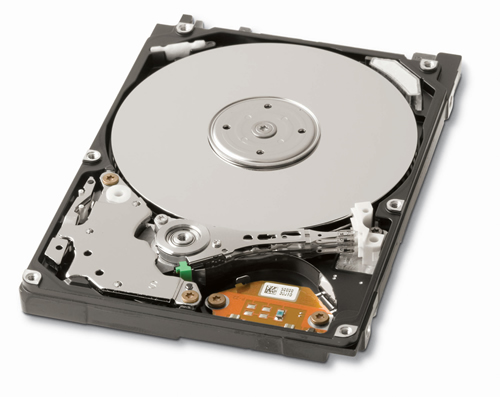 WD3000HLFS