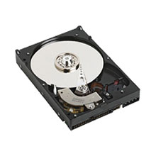 WD1600YS