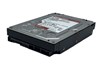 WD8005FFBX