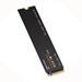 WDS800T2X0E