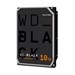 WD6004FZBX